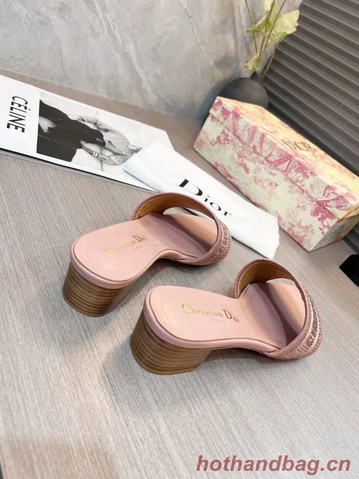 Dior Shoes DIS00196 Dior Shoes DIS00196