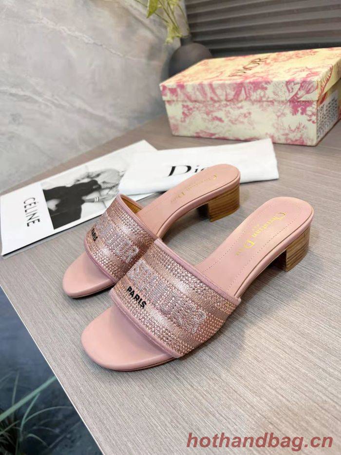 Dior Shoes DIS00196 Dior Shoes DIS00196