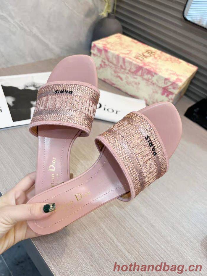 Dior Shoes DIS00196 Dior Shoes DIS00196