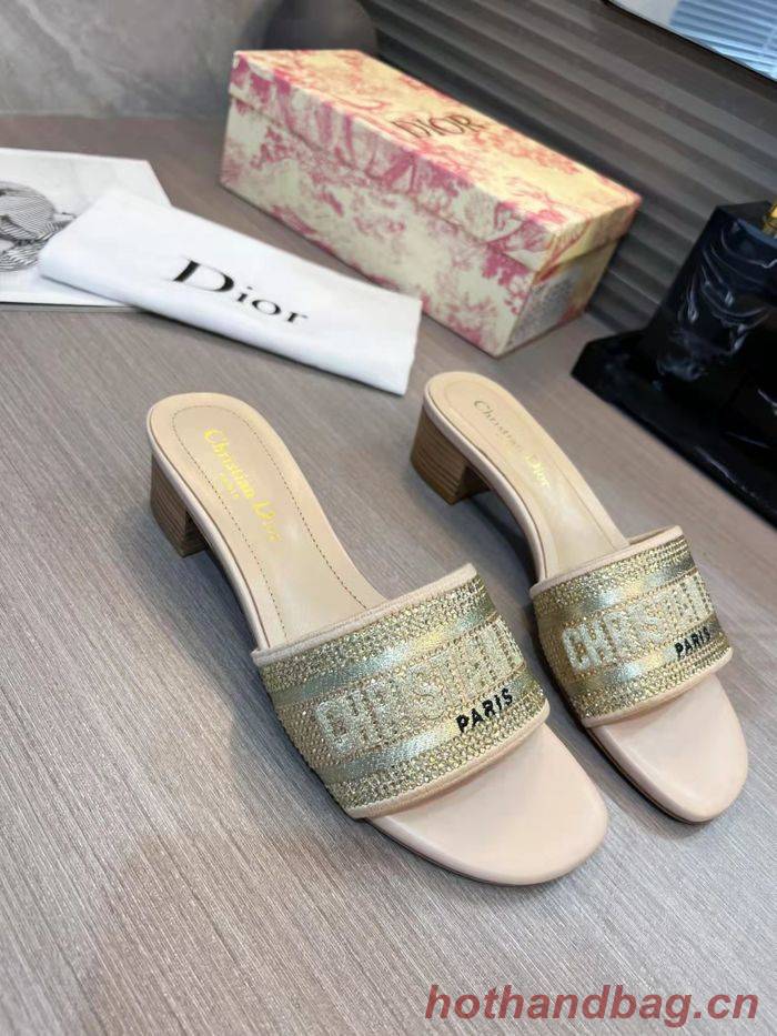 Dior Shoes DIS00199 Dior Shoes DIS00199