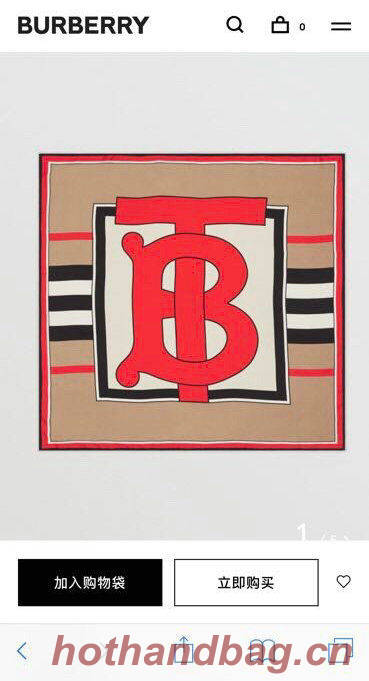 Burberry Scarf BBC00113 Burberry Scarf BBC00113