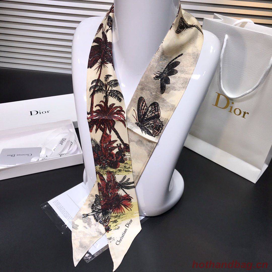 Dior Scarf DIC00003 Dior Scarf DIC00003