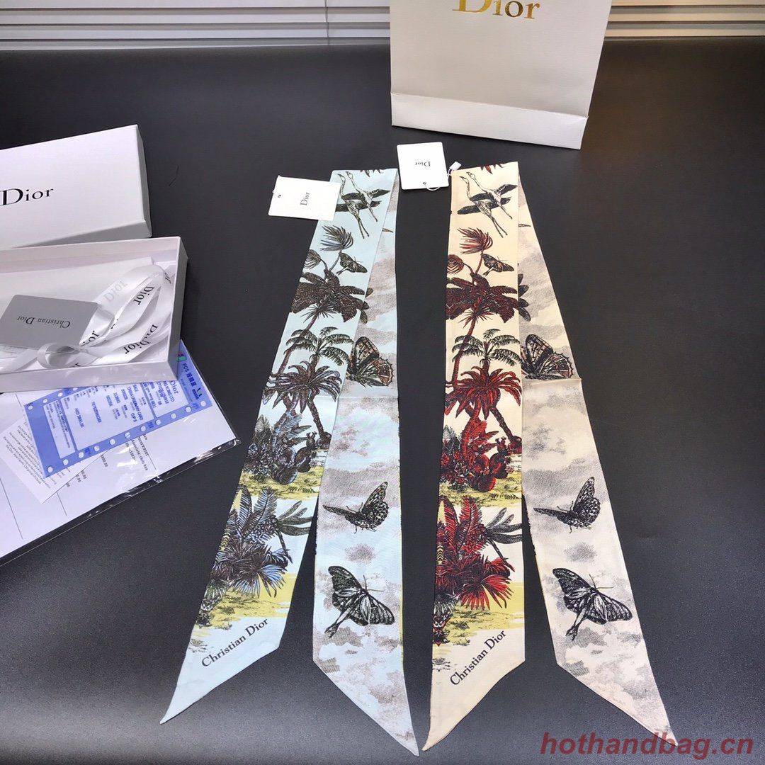 Dior Scarf DIC00004 Dior Scarf DIC00004