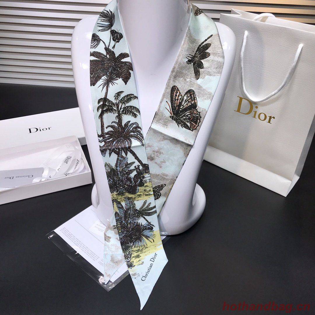 Dior Scarf DIC00004 Dior Scarf DIC00004