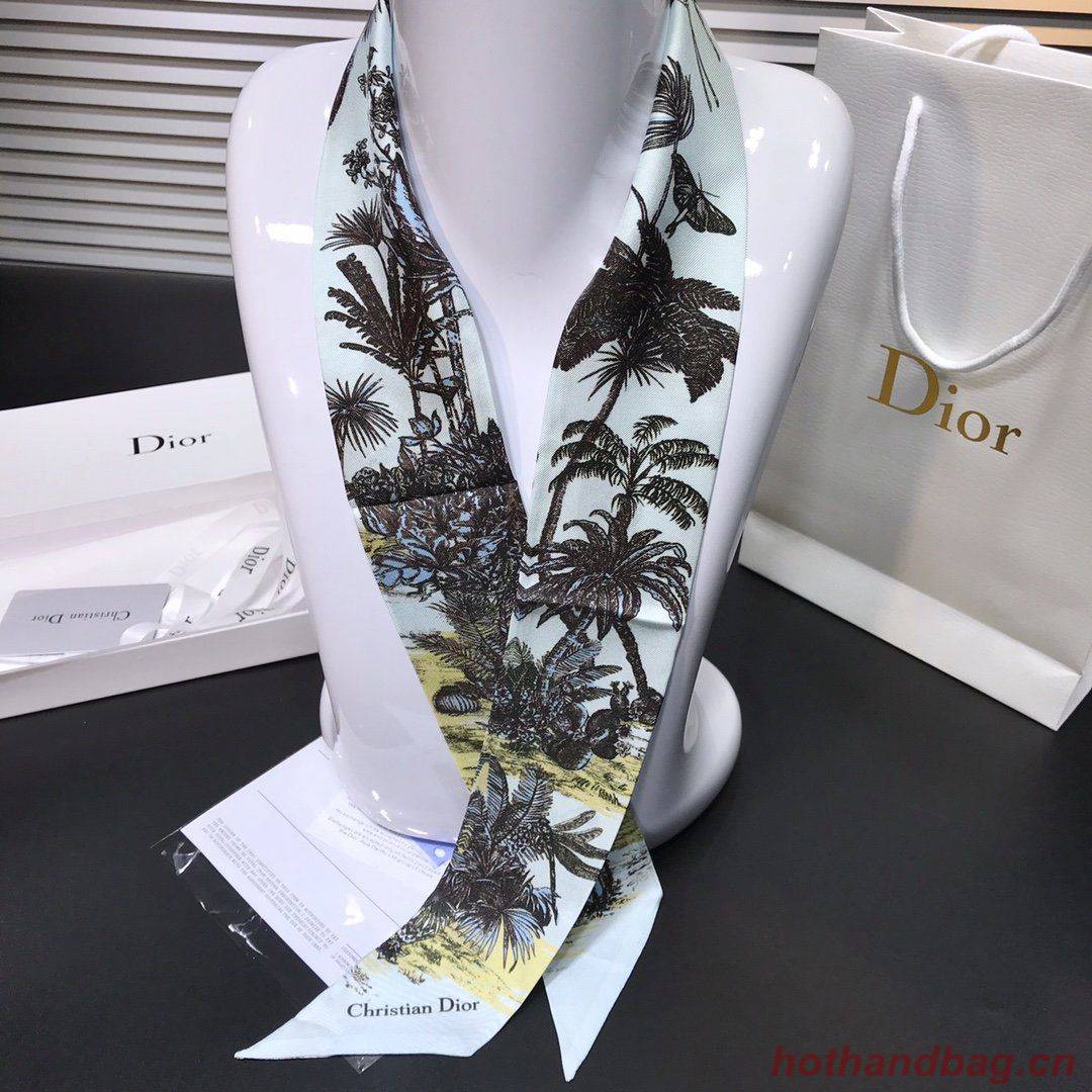 Dior Scarf DIC00004 Dior Scarf DIC00004