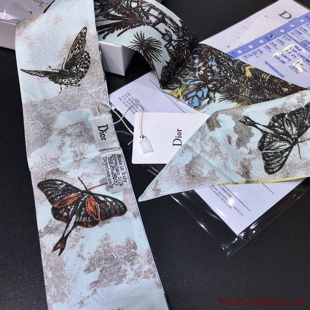 Dior Scarf DIC00004 Dior Scarf DIC00004