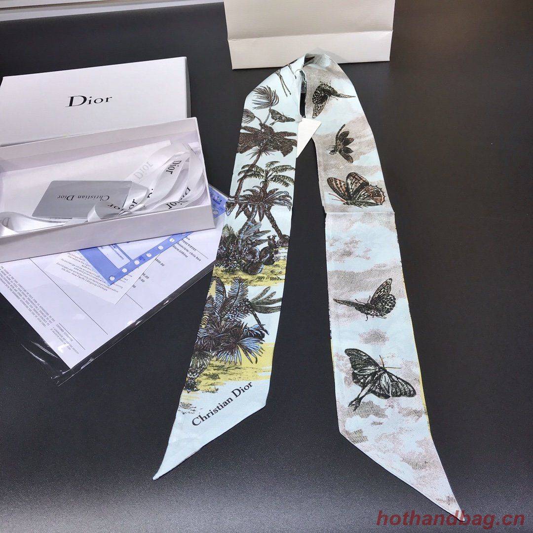 Dior Scarf DIC00004 Dior Scarf DIC00004