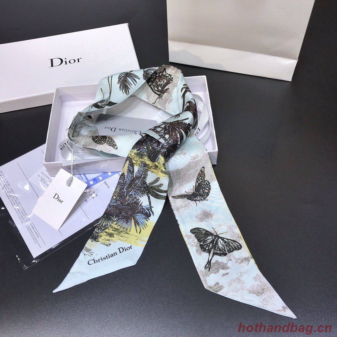 Dior Scarf DIC00004 Dior Scarf DIC00004