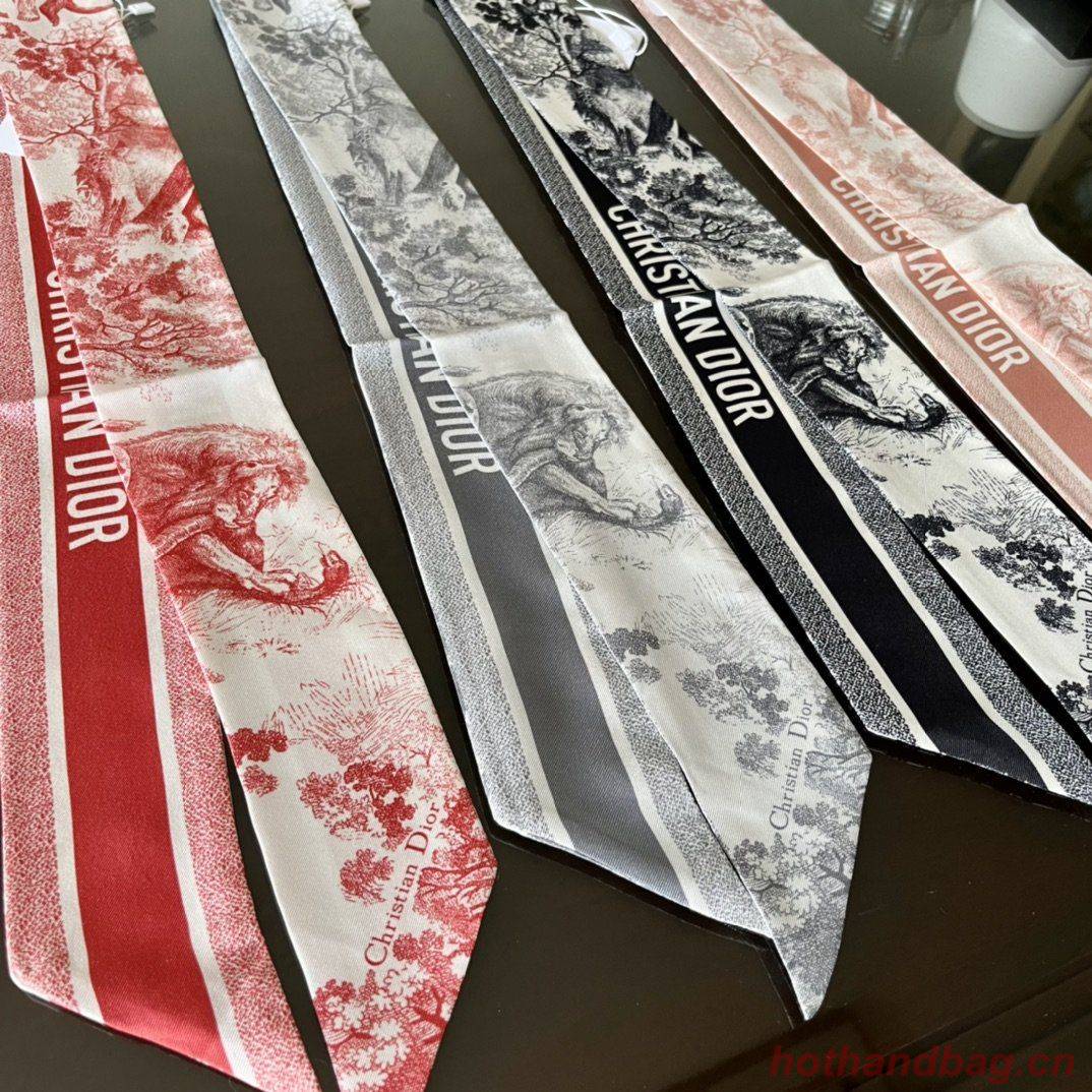 Dior Scarf DIC00006 Dior Scarf DIC00006