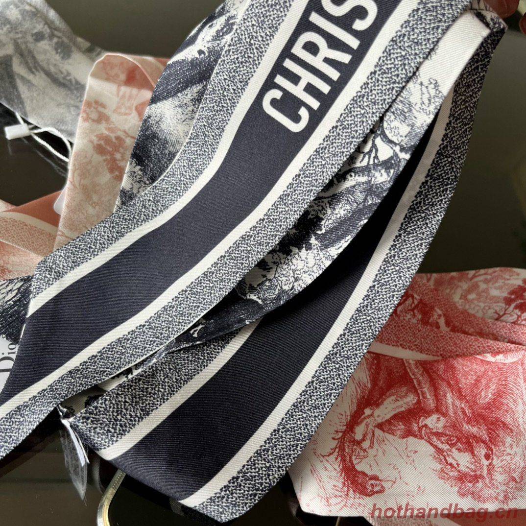 Dior Scarf DIC00006 Dior Scarf DIC00006