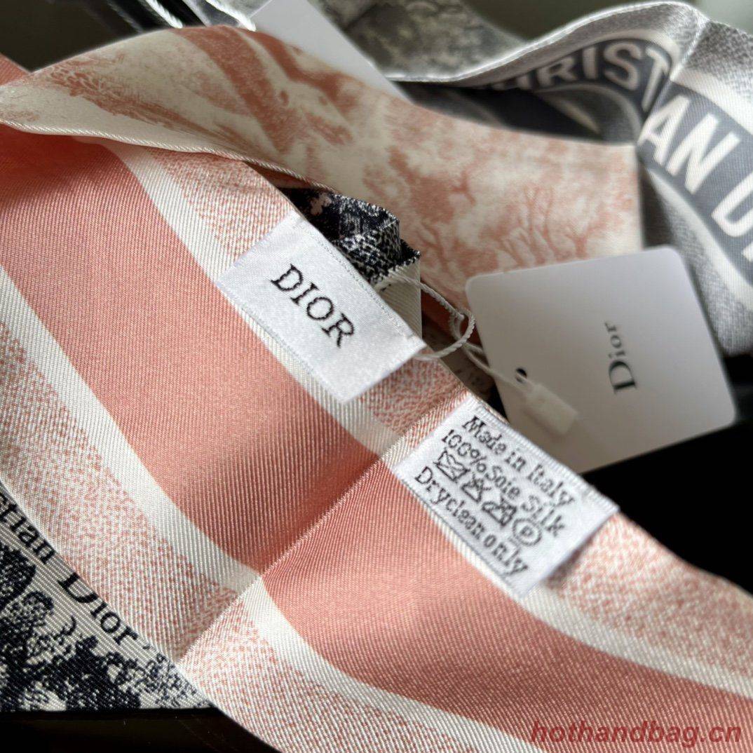 Dior Scarf DIC00006 Dior Scarf DIC00006