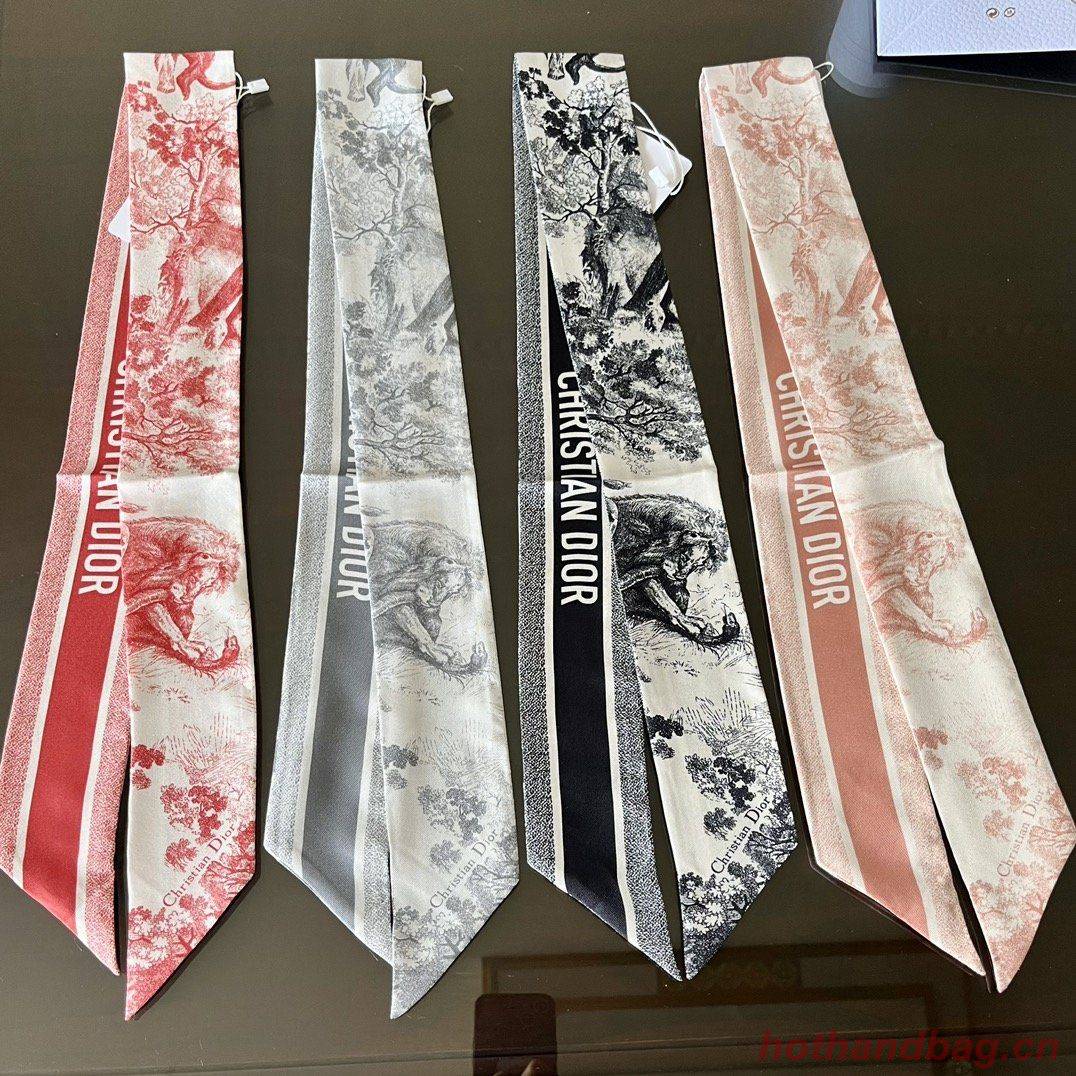 Dior Scarf DIC00006 Dior Scarf DIC00006