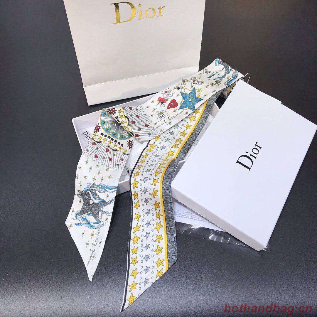 Dior Scarf DIC00012 Dior Scarf DIC00012