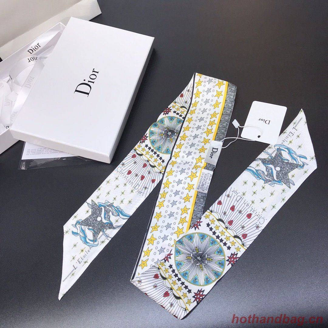 Dior Scarf DIC00012 Dior Scarf DIC00012