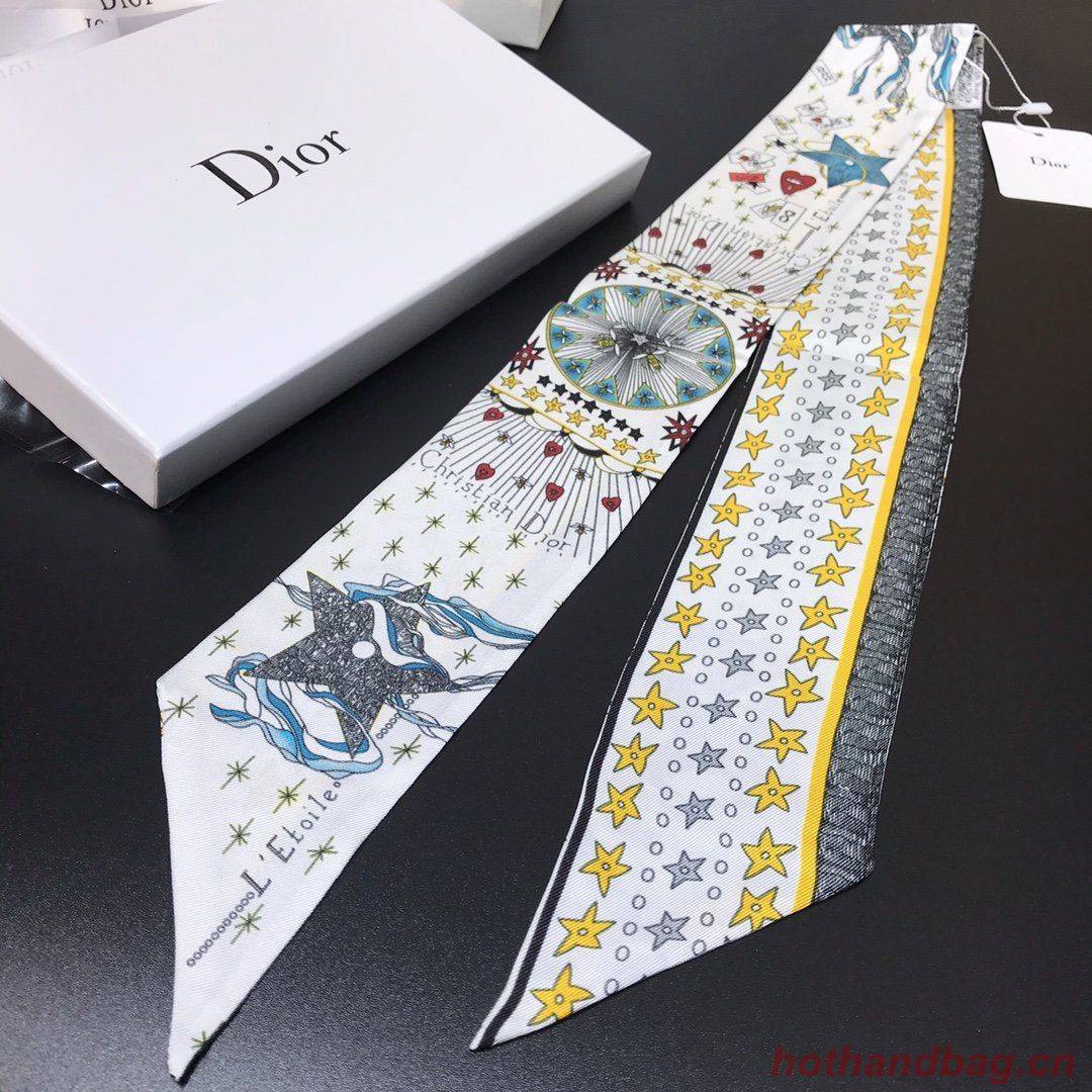 Dior Scarf DIC00012 Dior Scarf DIC00012
