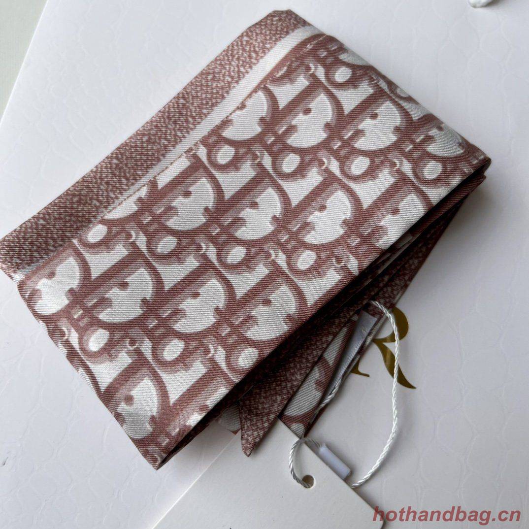 Dior Scarf DIC00016 Dior Scarf DIC00016