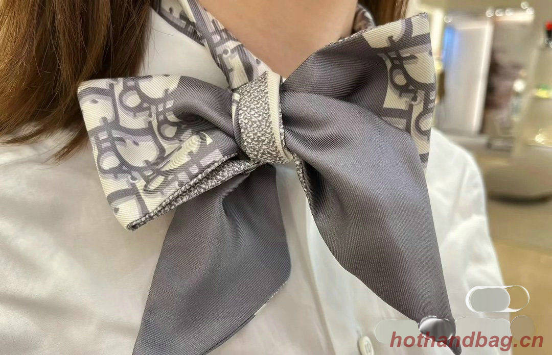 Dior Scarf DIC00017 Dior Scarf DIC00017