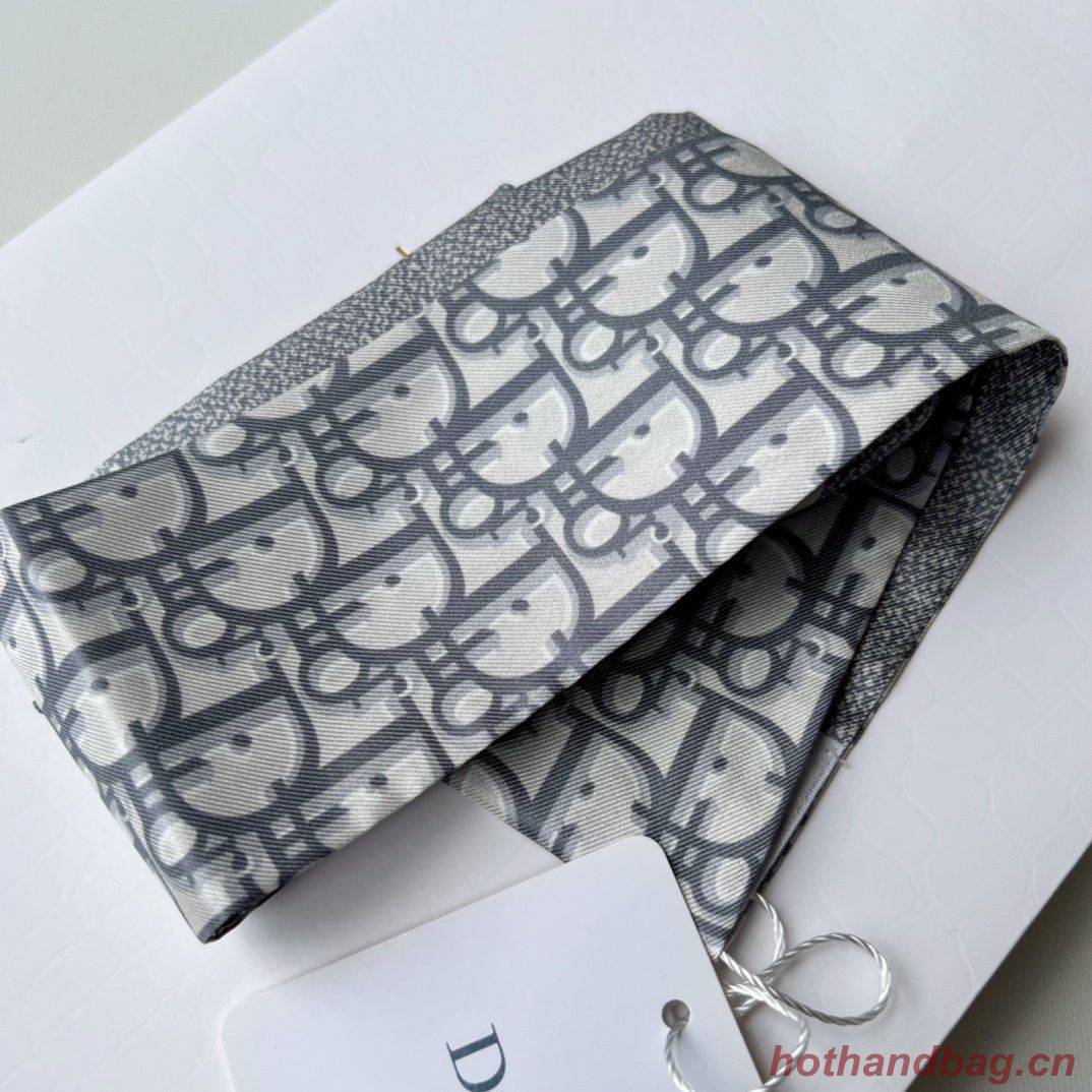 Dior Scarf DIC00017 Dior Scarf DIC00017
