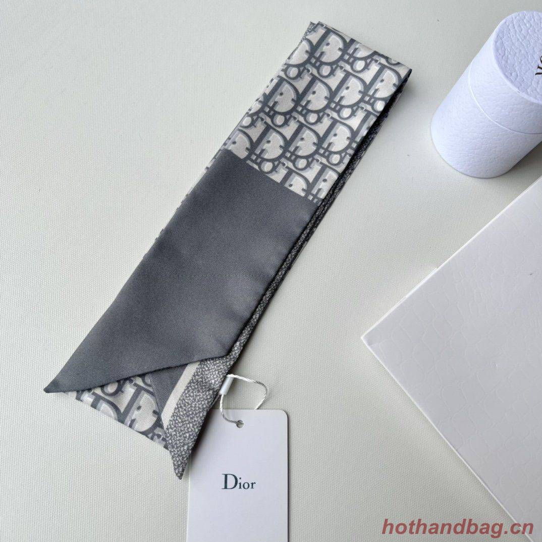Dior Scarf DIC00017 Dior Scarf DIC00017