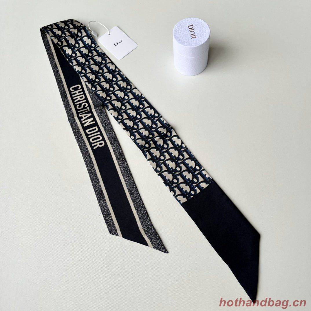 Dior Scarf DIC00018 Dior Scarf DIC00018