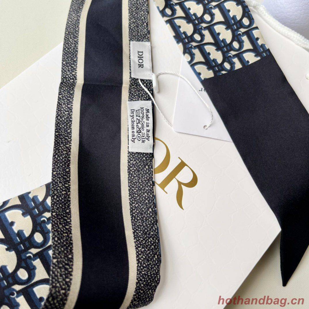 Dior Scarf DIC00018 Dior Scarf DIC00018