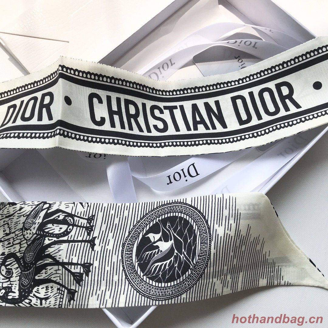 Dior Scarf DIC00021 Dior Scarf DIC00021
