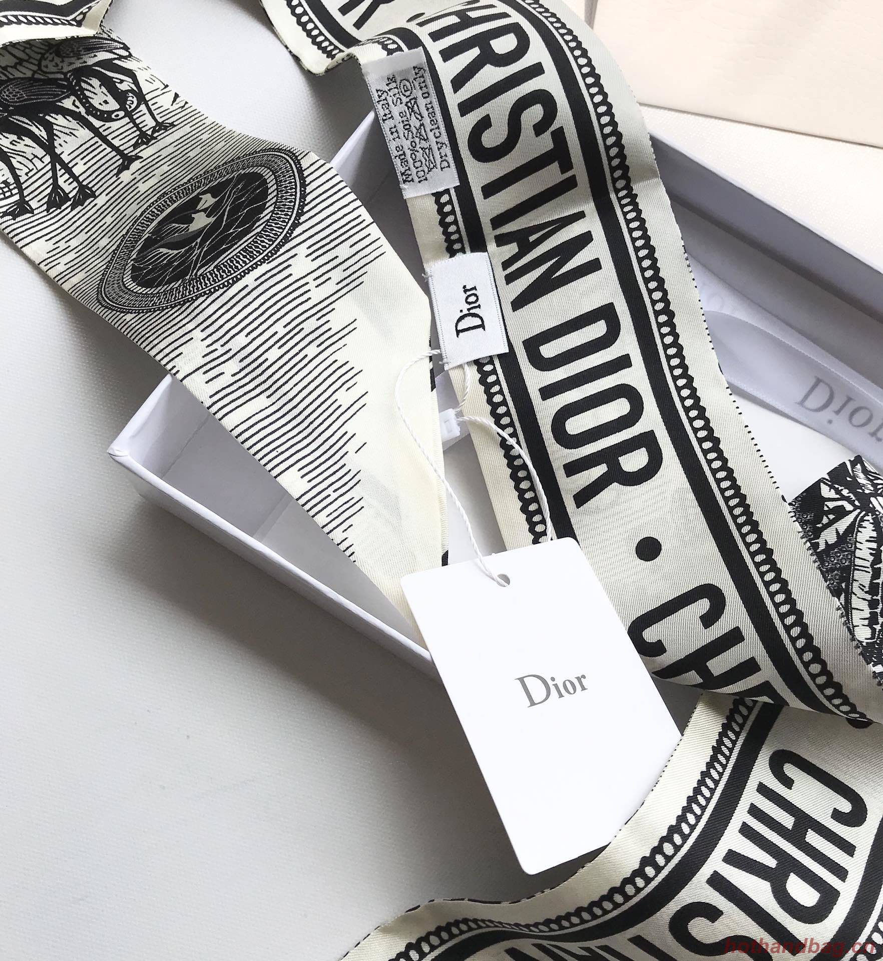 Dior Scarf DIC00021 Dior Scarf DIC00021