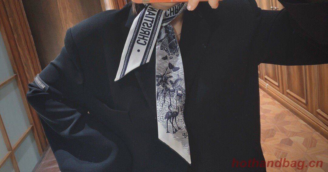 Dior Scarf DIC00022 Dior Scarf DIC00022