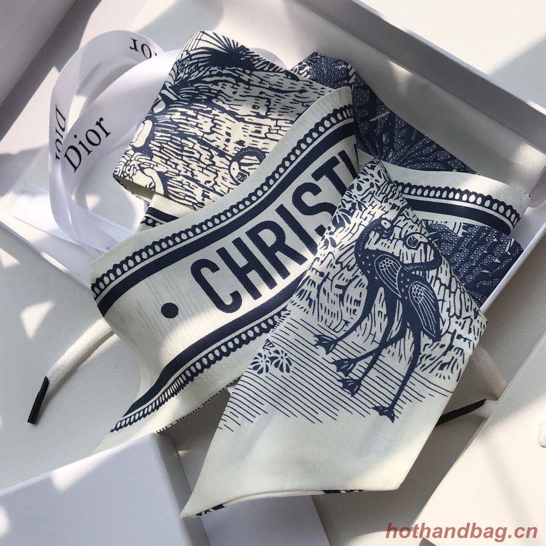 Dior Scarf DIC00022 Dior Scarf DIC00022