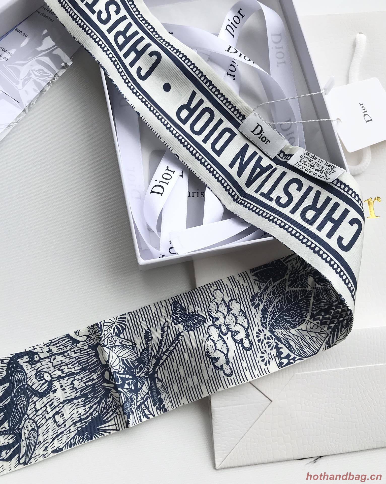 Dior Scarf DIC00022 Dior Scarf DIC00022