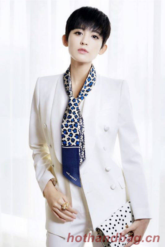 Dior Scarf DIC00023 Dior Scarf DIC00023