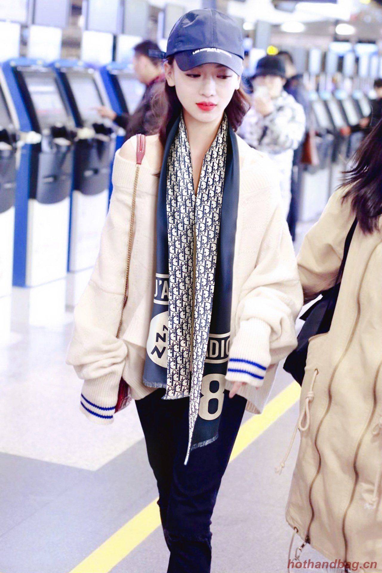 Dior Scarf DIC00025 Dior Scarf DIC00025