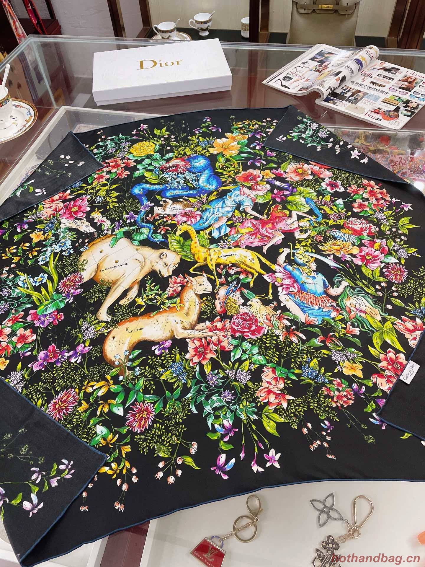 Dior Scarf DIC00040 Dior Scarf DIC00040