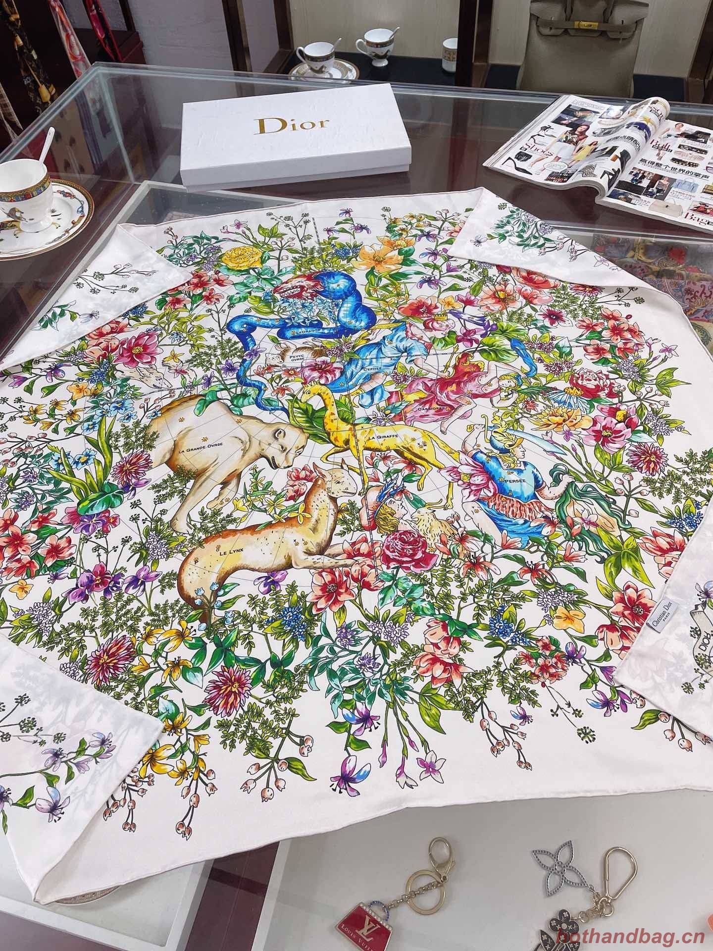 Dior Scarf DIC00041 Dior Scarf DIC00041