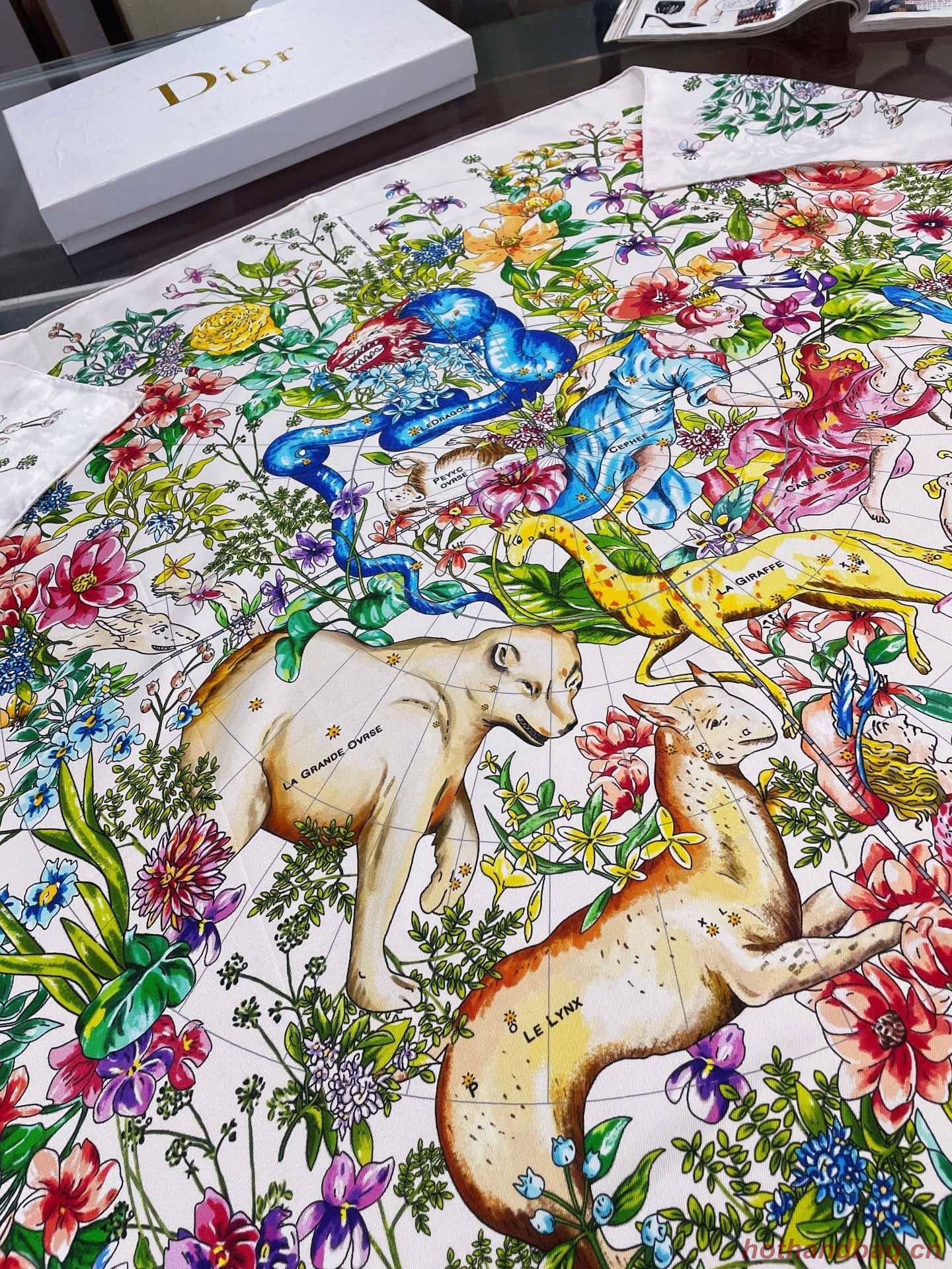 Dior Scarf DIC00041 Dior Scarf DIC00041