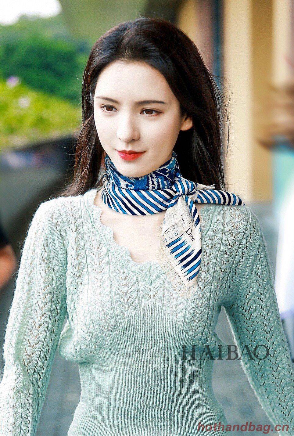 Dior Scarf DIC00046 Dior Scarf DIC00046