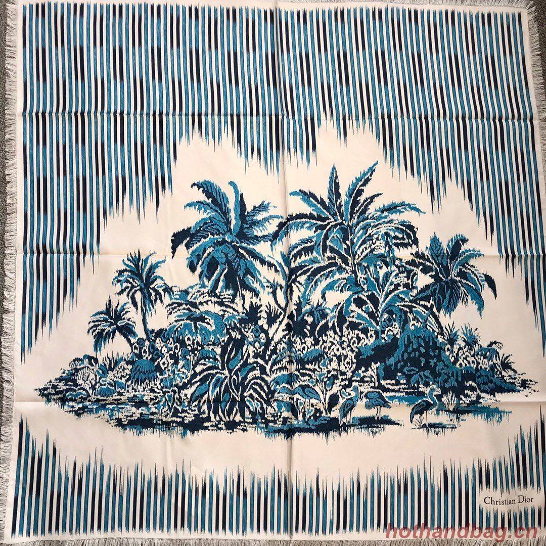 Dior Scarf DIC00046 Dior Scarf DIC00046