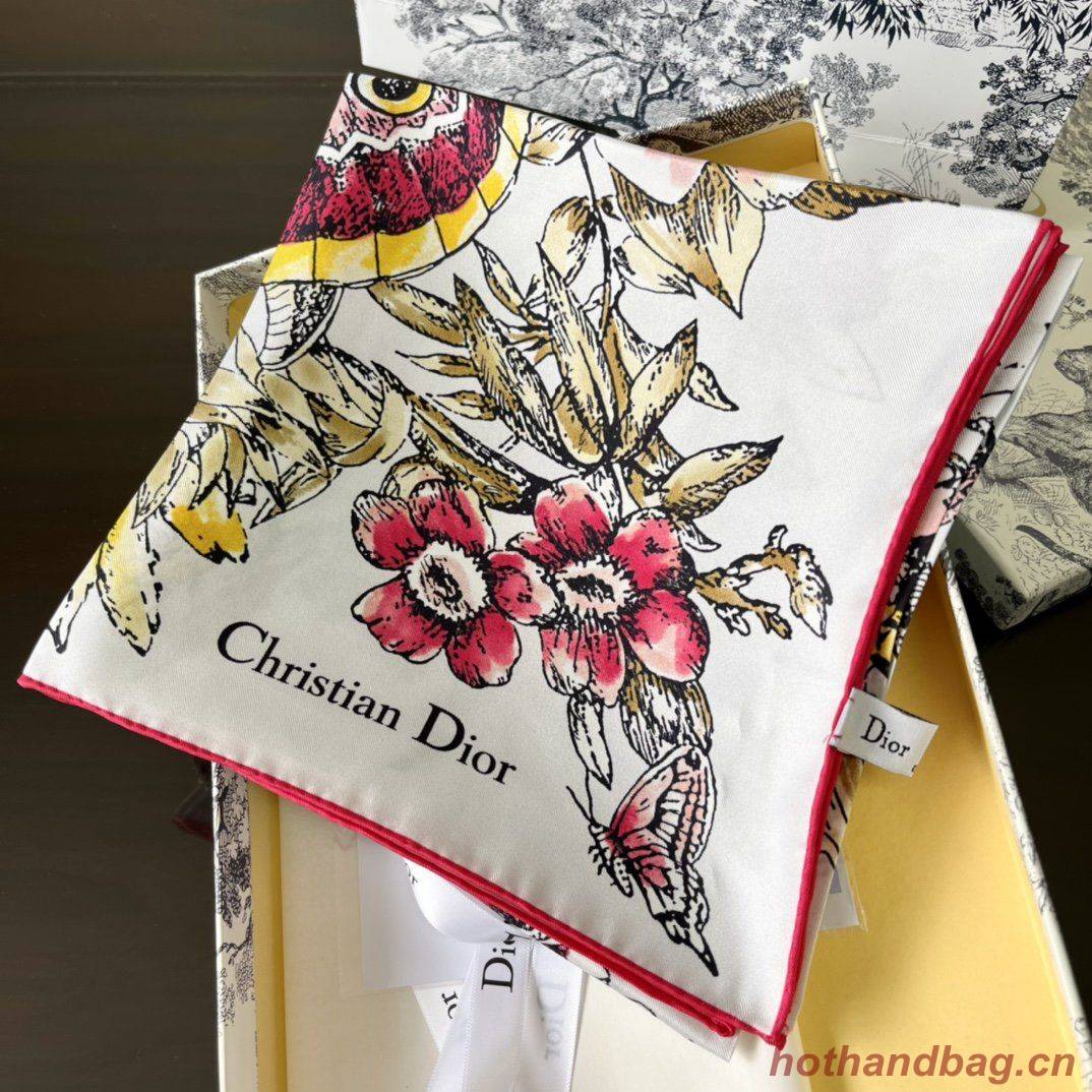 Dior Scarf DIC00050 Dior Scarf DIC00050
