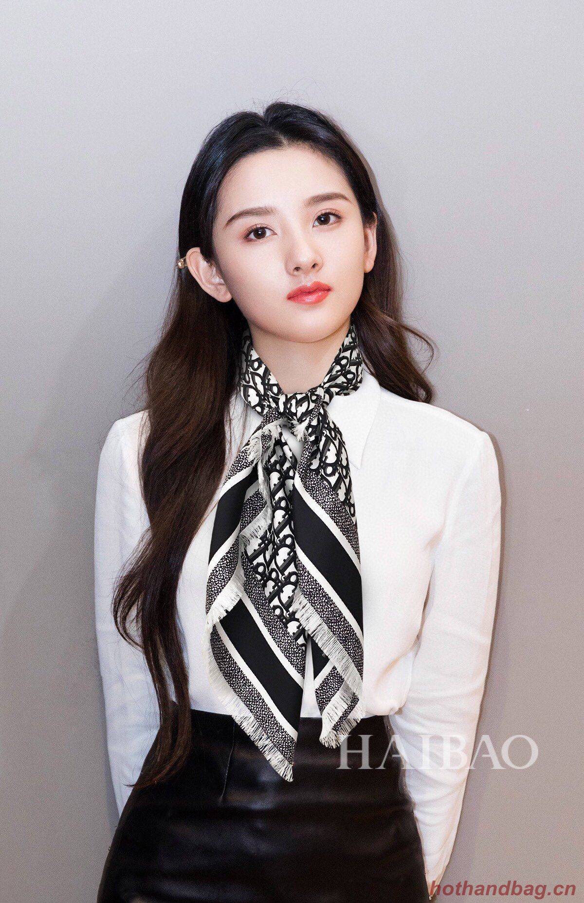 Dior Scarf DIC00052 Dior Scarf DIC00052