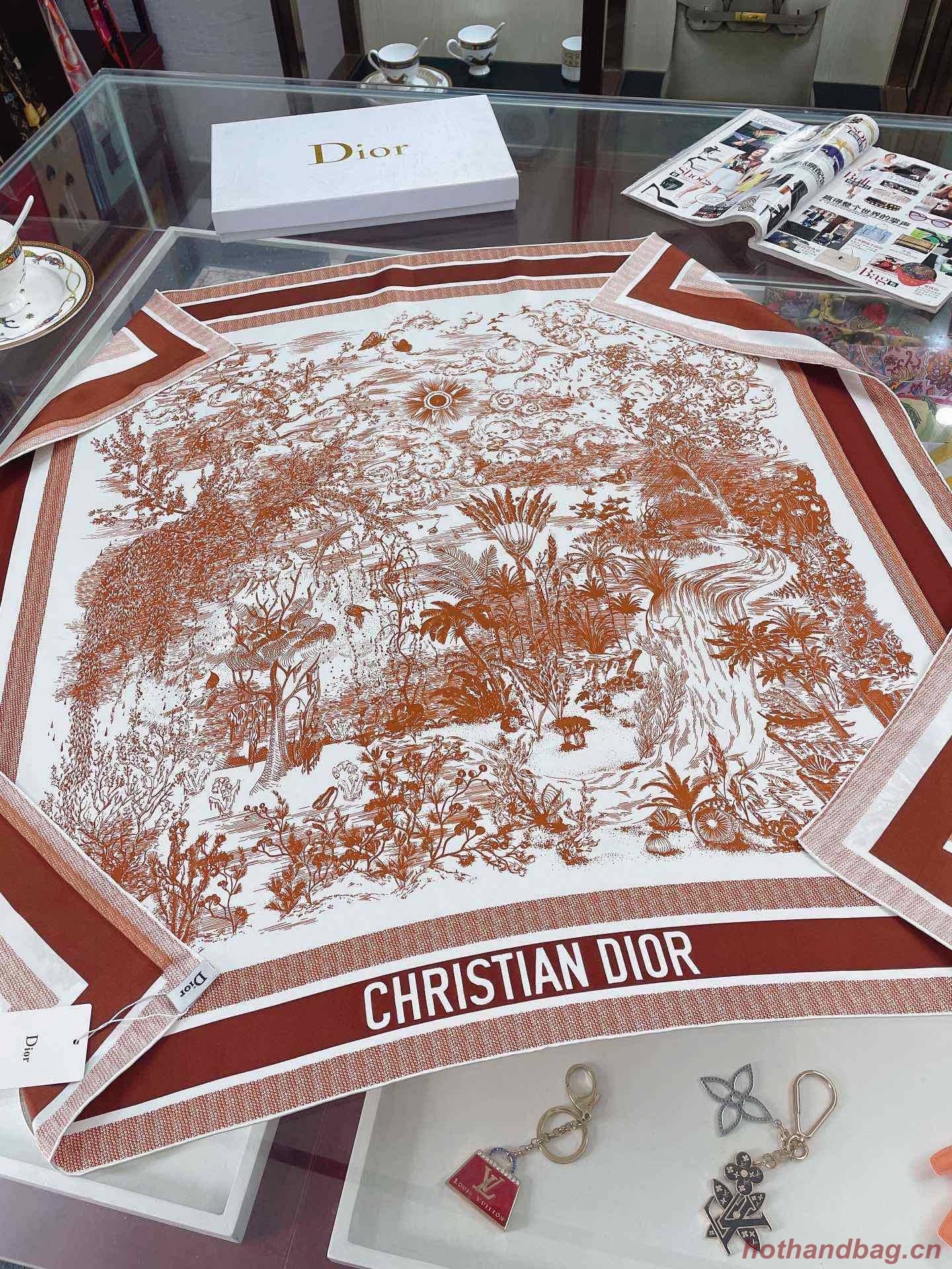 Dior Scarf DIC00055 Dior Scarf DIC00055