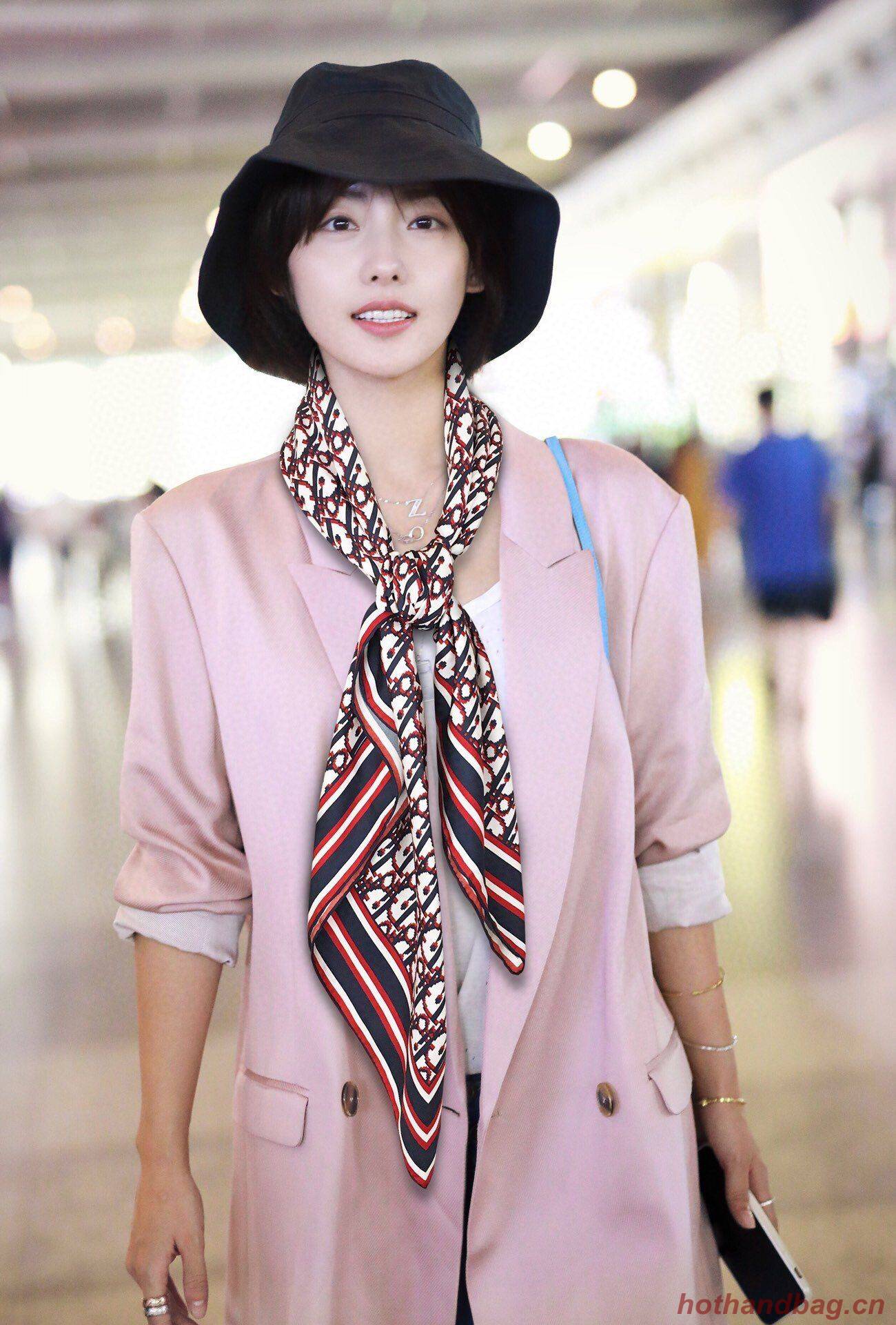 Dior Scarf DIC00057 Dior Scarf DIC00057