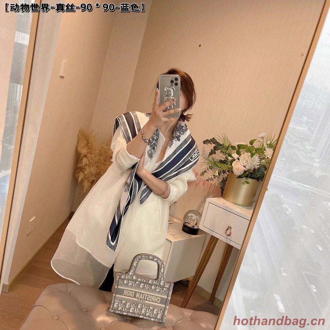 Dior Scarf DIC00075 Dior Scarf DIC00075