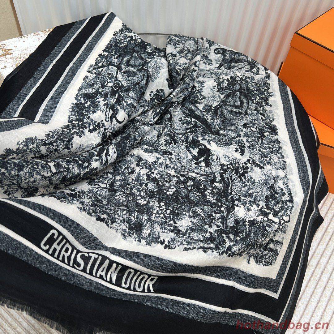 Dior Scarf DIC00078 Dior Scarf DIC00078