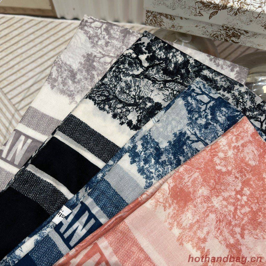 Dior Scarf DIC00079 Dior Scarf DIC00079