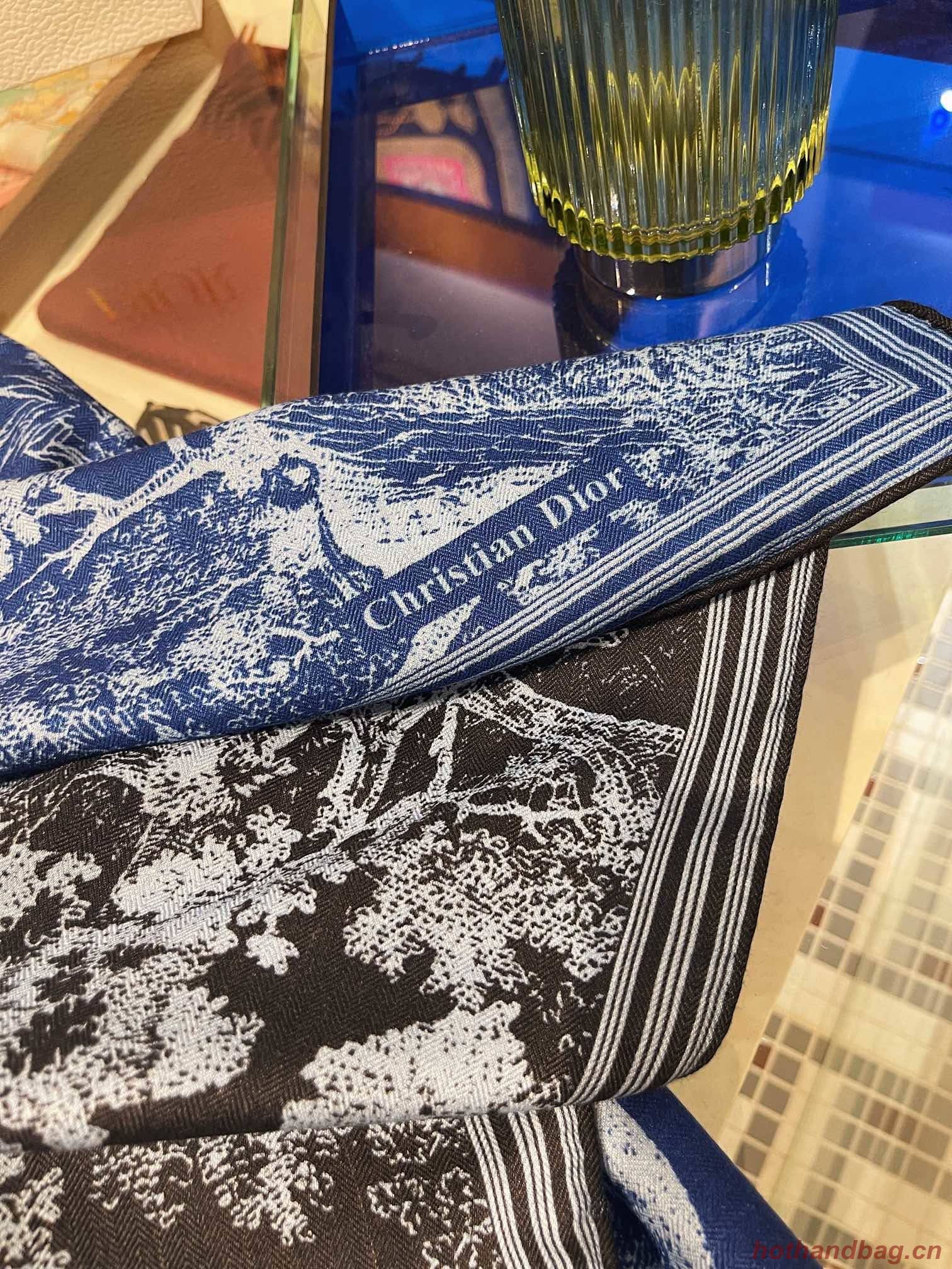 Dior Scarf DIC00146 Dior Scarf DIC00146