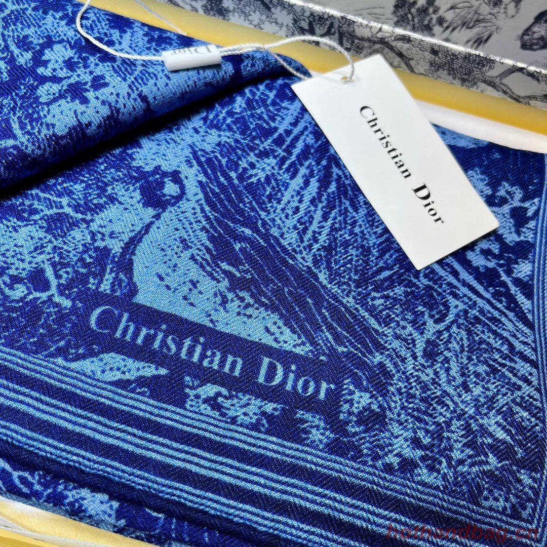 Dior Scarf DIC00146 Dior Scarf DIC00146