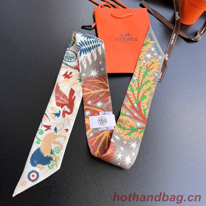 Hermes Scarf HEC00029 Hermes Scarf HEC00029