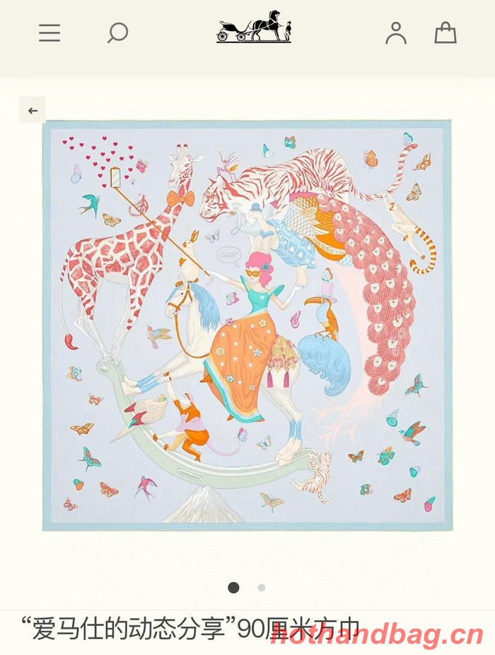 Hermes Scarf HEC00158 Hermes Scarf HEC00158