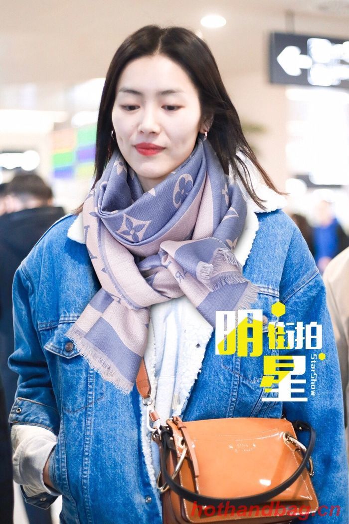 Louis Vuitton Scarf LVC00089 Louis Vuitton Scarf LVC00089