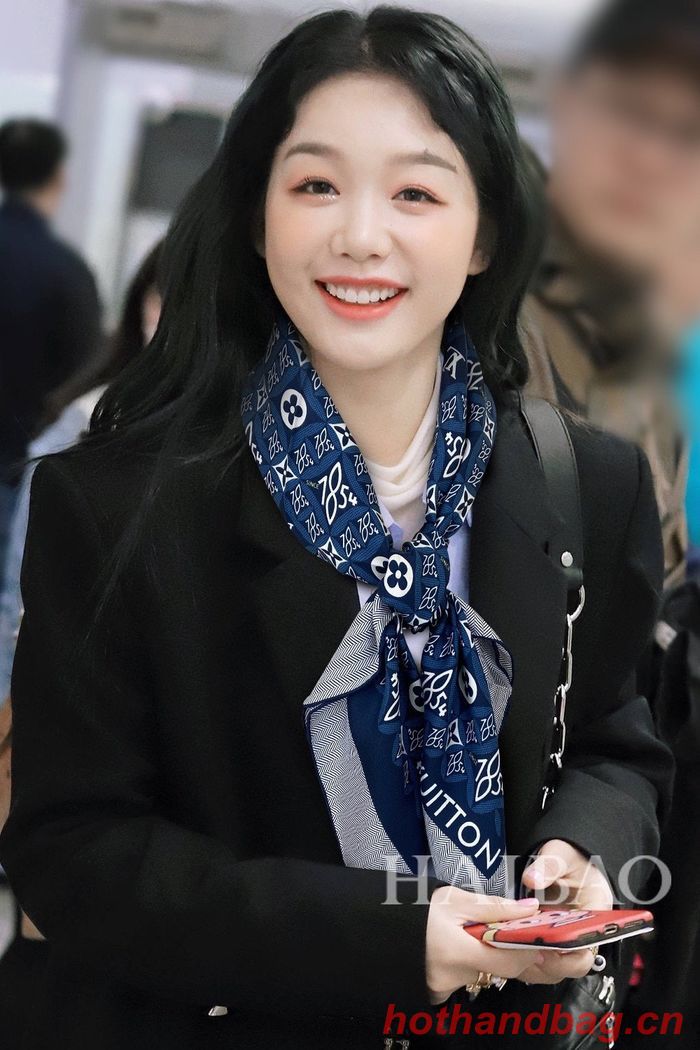 Louis Vuitton Scarf LVC00130 Louis Vuitton Scarf LVC00130